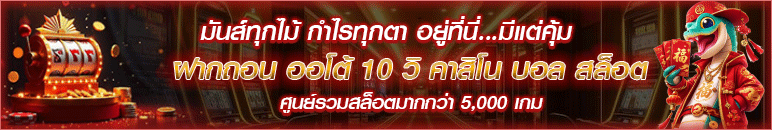 ผู้สนับสนุน